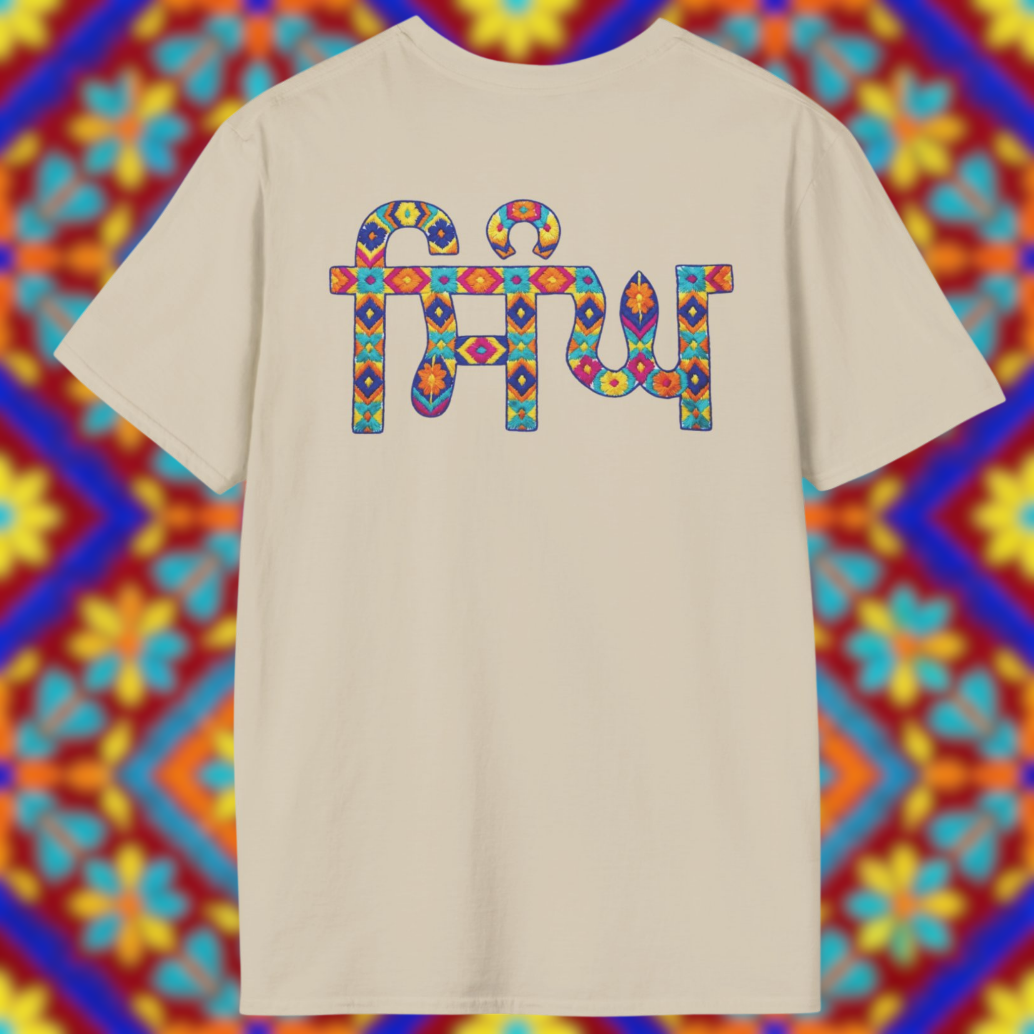 Singh in Punjabi Graphic T-Shirt