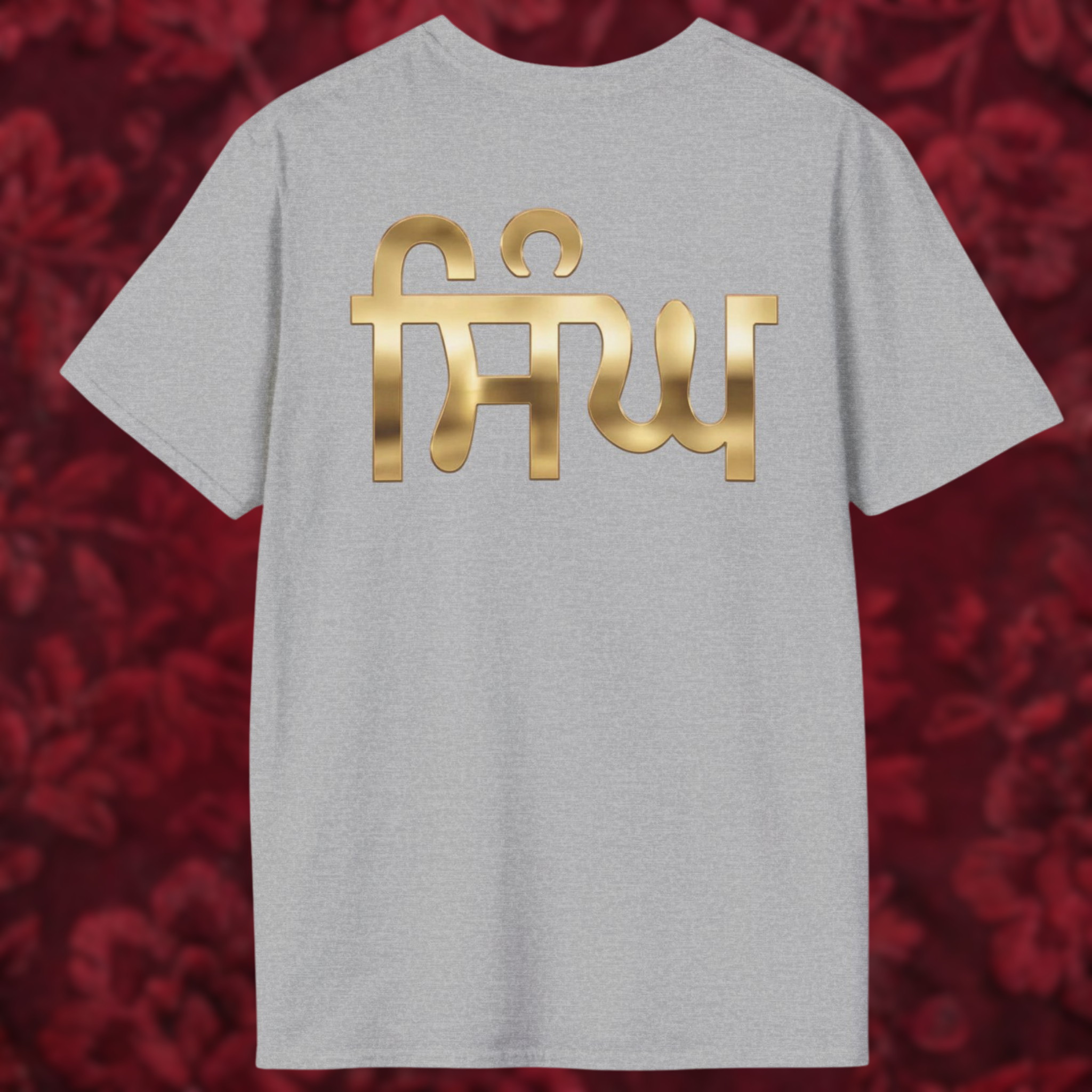 Singh in Punjabi Graphic T-Shirt