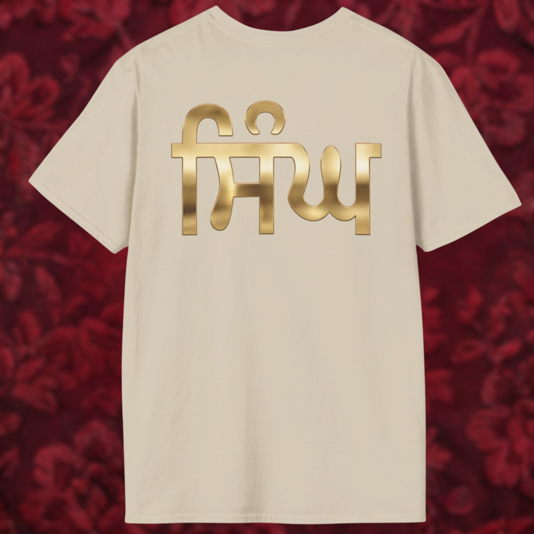 Singh in Punjabi Graphic T-Shirt