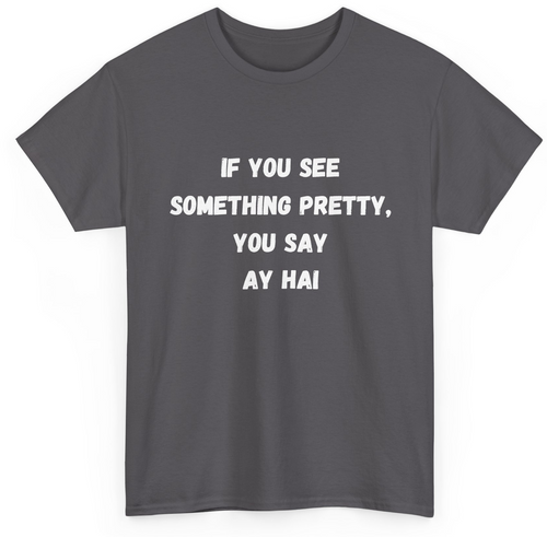 Ay Hai Punjabi Humour T-Shirt